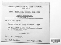 Image Associated With the Occurence